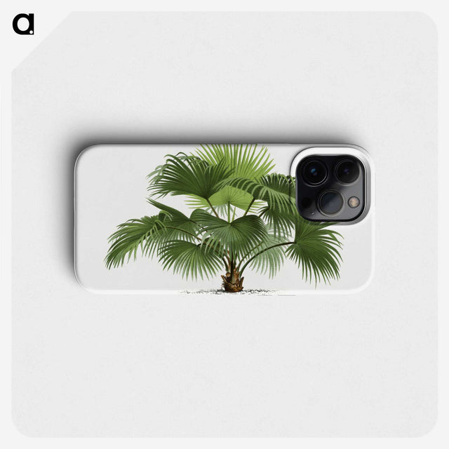 1-5_Les-Palmiers-Histoire-Iconographique_phone