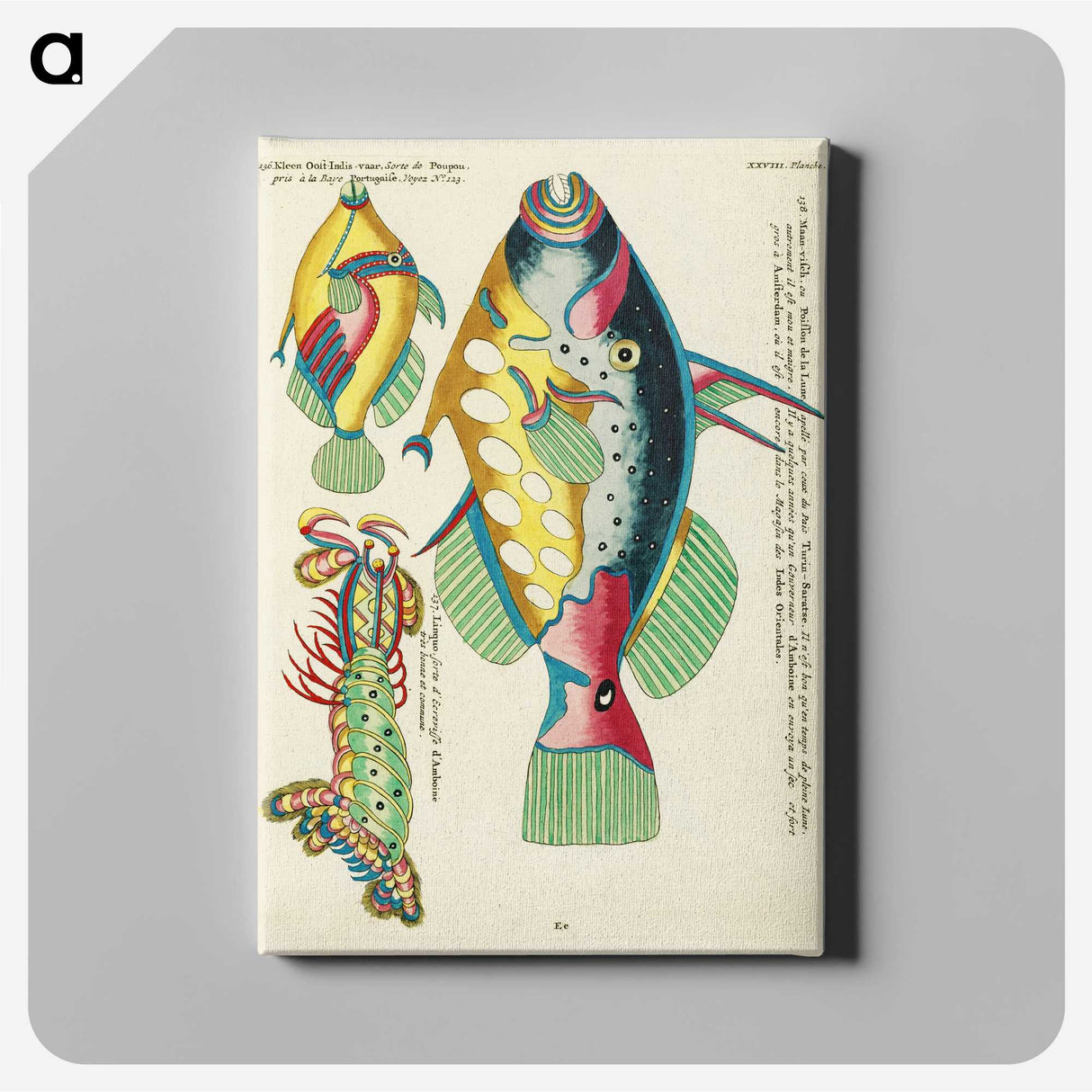 1-5_Louis-Renard_canvas