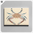 アートパネル-Blue Crab
 - ルイージ バルガーニ Canvas.