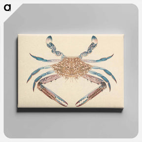 アートパネル-Blue Crab
 - ルイージ バルガーニ Canvas.