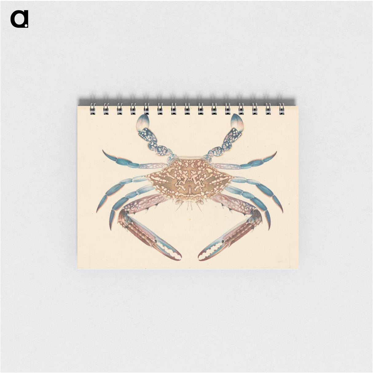 Blue Crab
 - ルイージ バルガーニ Memo.