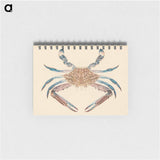 Blue Crab
 - ルイージ バルガーニ Memo.