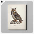 1-5_Magnus-von-Wright_canvas
