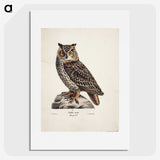 1-5_Magnus-von-Wright_picture