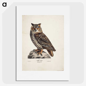 1-5_Magnus-von-Wright_picture