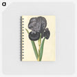 1-5_Maria-Sibylla-Merian_memo