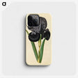 1-5_Maria-Sibylla-Merian_phone