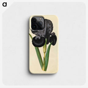1-5_Maria-Sibylla-Merian_phone