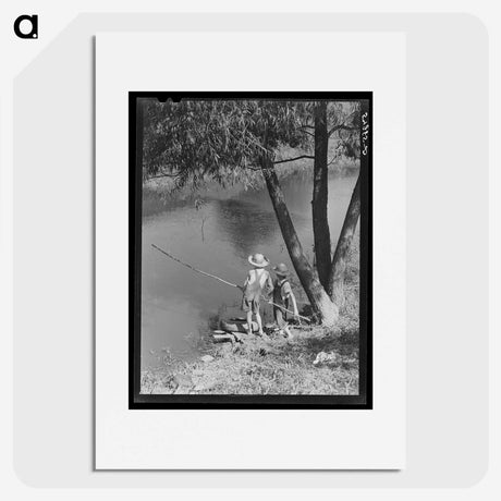 1-5_Marion-Post-Wolcott_picture