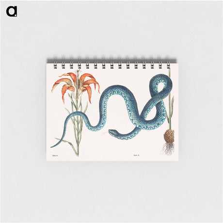 アートメモ帳-Wampum Snake
 - マーク ケイツビー Memo.
