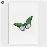 1-5_Mary-Altha-Nims_picture