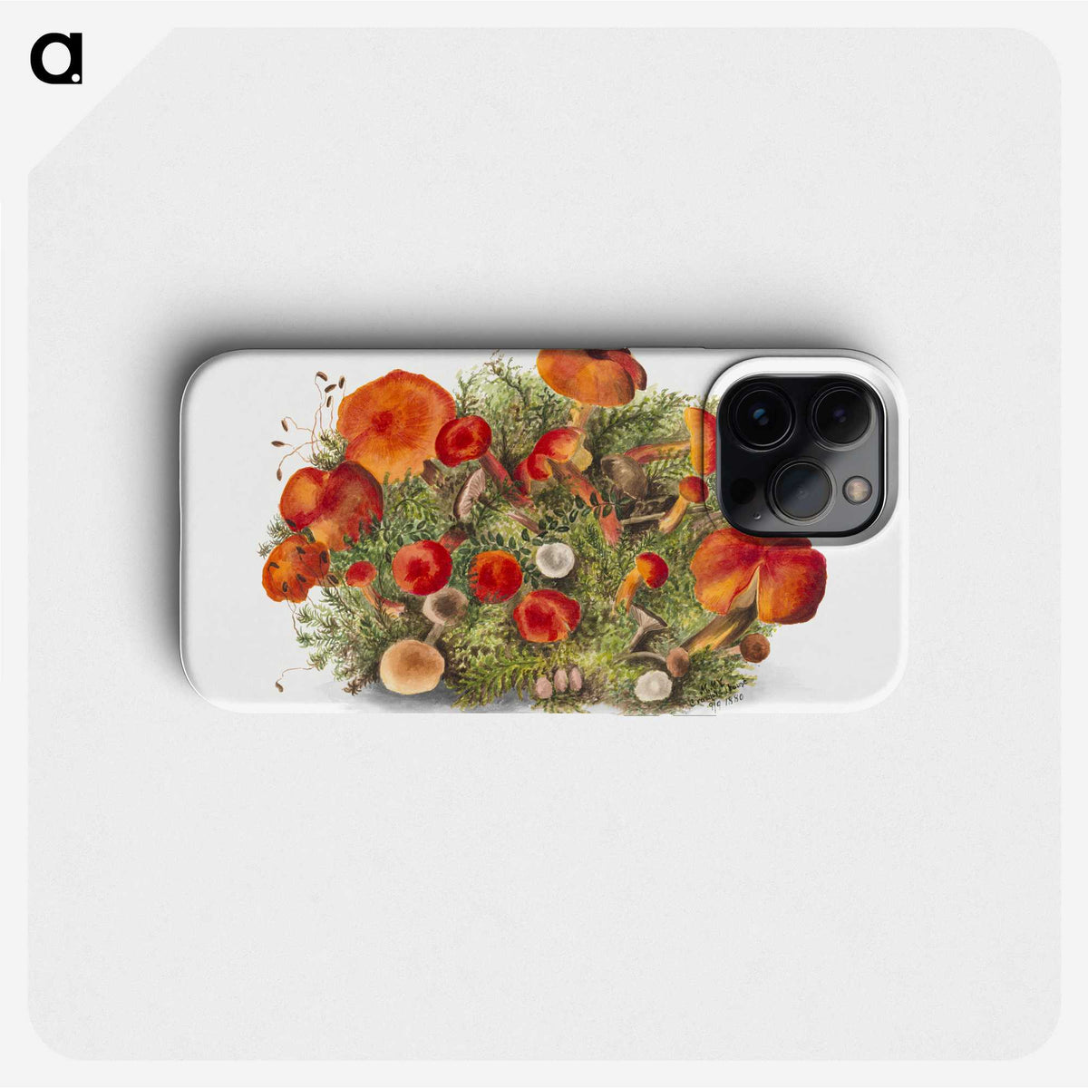 1-5_Mary-Vaux-Walcott_phone