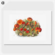 1-5_Mary-Vaux-Walcott_picture