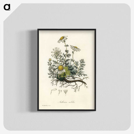 1-5_Medical-Botany_blk-crop