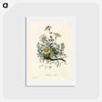 1-5_Medical-Botany_hagaki