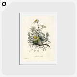 1-5_Medical-Botany_hagaki