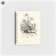 アートメモ帳-Chamomile Illustration
 - 薬用植物学 Memo.