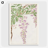 1-5_Megata-Morikaga_picture-crop