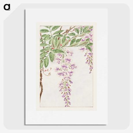 1-5_Megata-Morikaga_picture