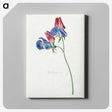 1-5_Michiel-van-Huysum_canvas