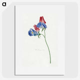 1-5_Michiel-van-Huysum_picture