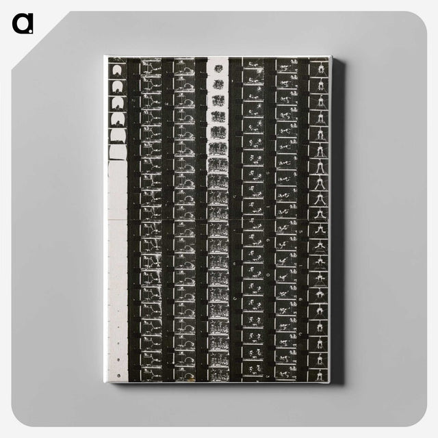 1-5_Milos-Dohnany_canvas