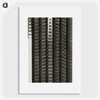 1-5_Milos-Dohnany_picture