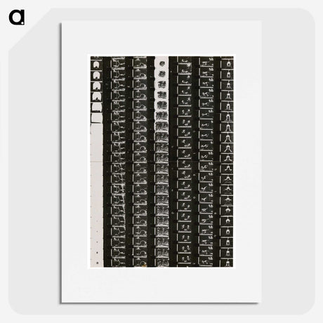 1-5_Milos-Dohnany_picture