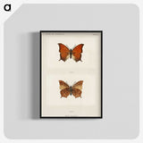 1-5_Moths-and-Butterflies-of-the-United-States_blk-crop