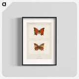 1-5_Moths-and-Butterflies-of-the-United-States_blk