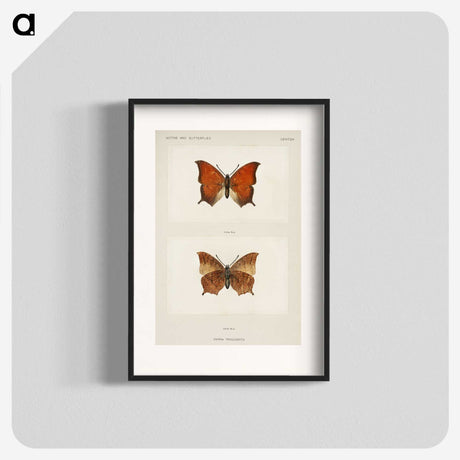 1-5_Moths-and-Butterflies-of-the-United-States_blk
