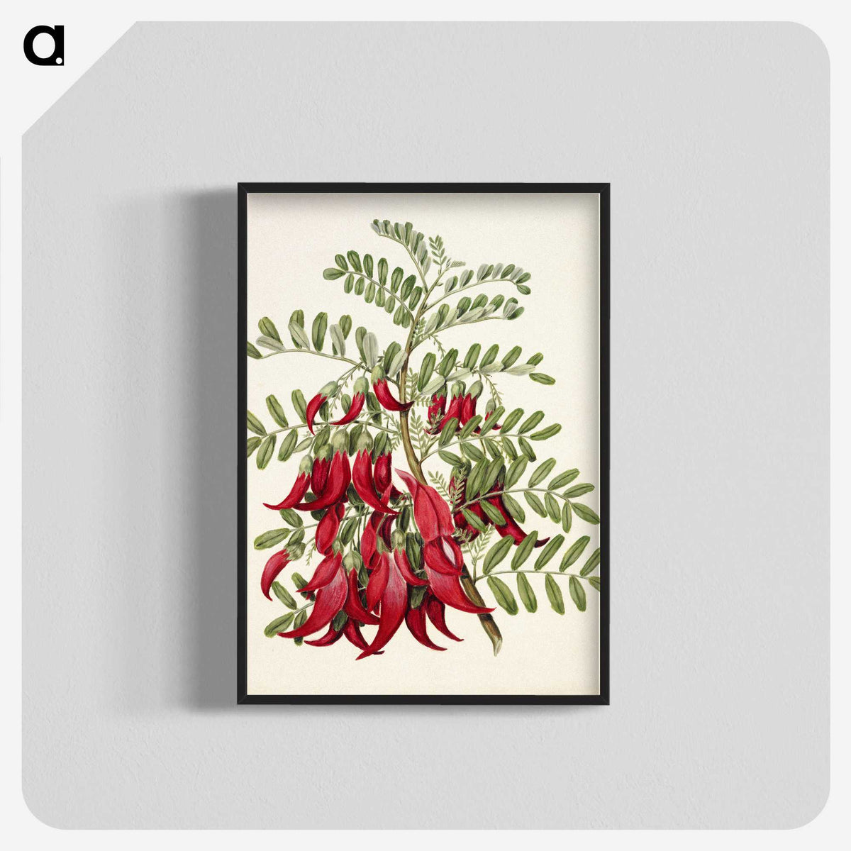 1-5_Native-Flowering-Plants-of-New-Zealand_blk-crop