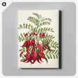 1-5_Native-Flowering-Plants-of-New-Zealand_canvas