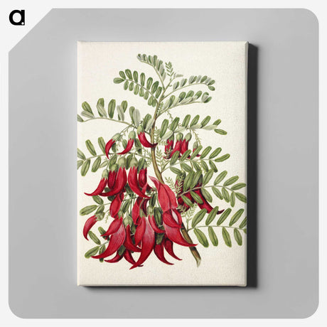 1-5_Native-Flowering-Plants-of-New-Zealand_canvas