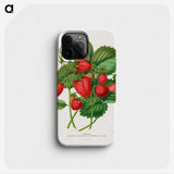 1-5_Nederlandsche-Flora-en-Pomona_phone