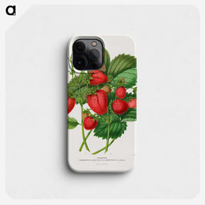 1-5_Nederlandsche-Flora-en-Pomona_phone