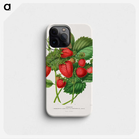 1-5_Nederlandsche-Flora-en-Pomona_phone