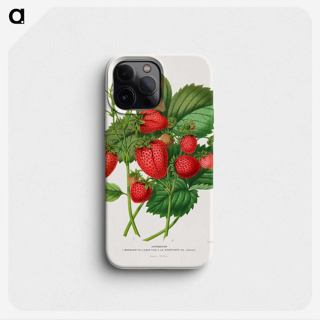 1-5_Nederlandsche-Flora-en-Pomona_phone