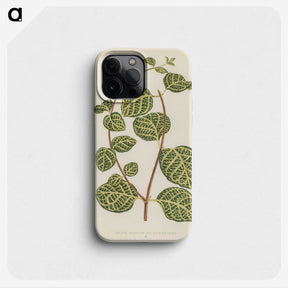 1-5_New-and-Rare-Beautiful-Leaved-Plants_phone