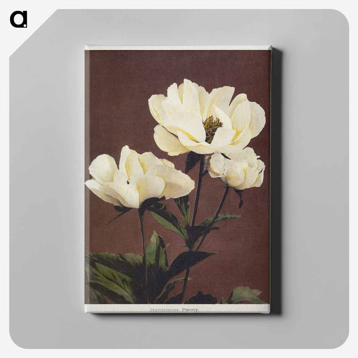 1-5_Ogawa-Kazumasa_canvas