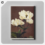 1-5_Ogawa-Kazumasa_canvas