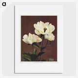 1-5_Ogawa-Kazumasa_picture