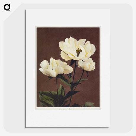 1-5_Ogawa-Kazumasa_picture