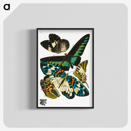 1-5_Papillons_blk-crop