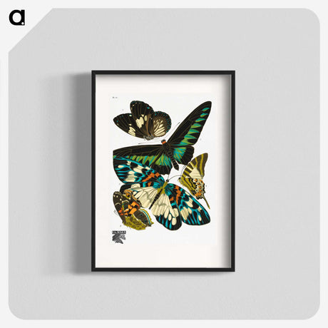 1-5_Papillons_blk