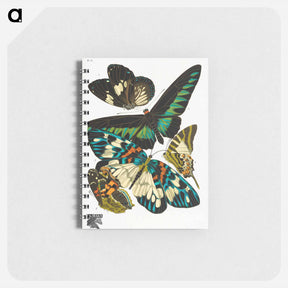 アートメモ帳-Vintage Butterflies
 - パピヨン Memo.