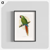 1-5_Parrots-in-Captivity_blk