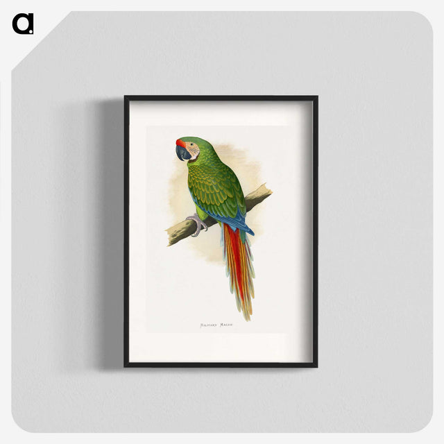 1-5_Parrots-in-Captivity_blk