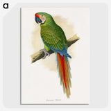 1-5_Parrots-in-Captivity_picture-crop