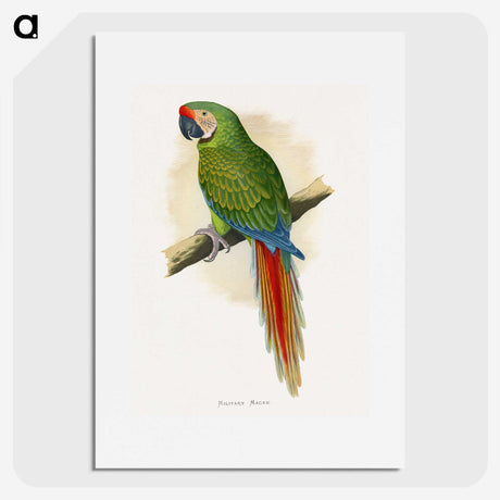 1-5_Parrots-in-Captivity_picture